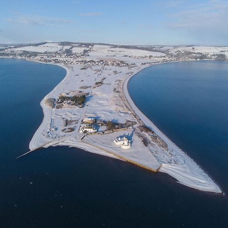 Dolphin View Hillockhead Lejlighed Rosemarkie Eksteriør billede