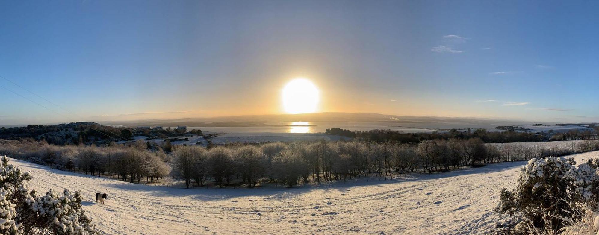 Dolphin View Hillockhead Lejlighed Rosemarkie Eksteriør billede